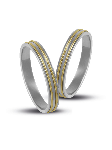 Wedding_rings V2029_WY.jpg